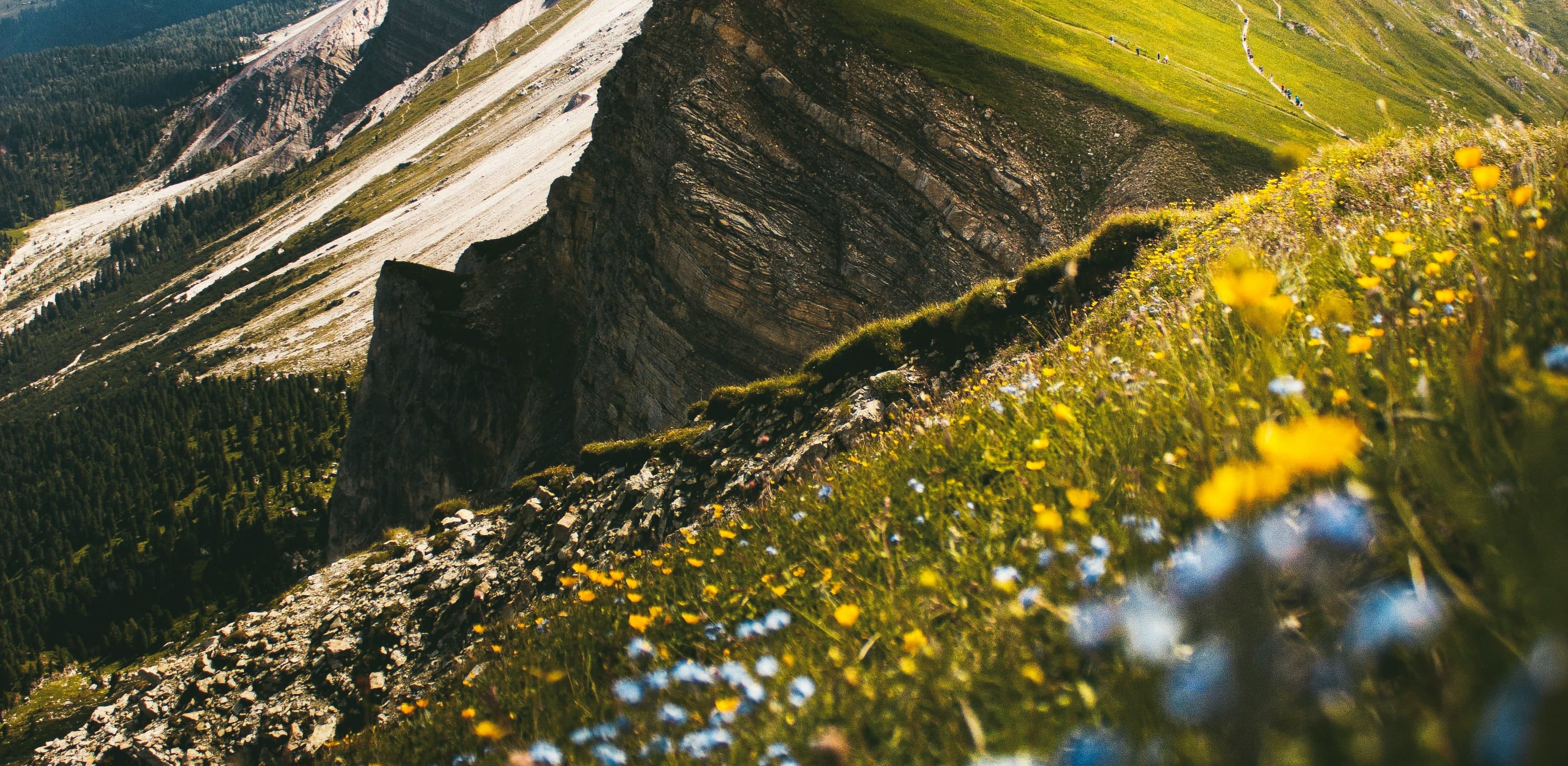Mountain landscape banner